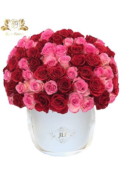 خرید باکس گل استوانه ای رز صورتی و قرمز گلبر