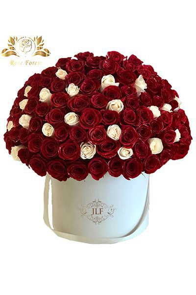 قیمت خرید باکس گل رز قرمز و سفید ریما