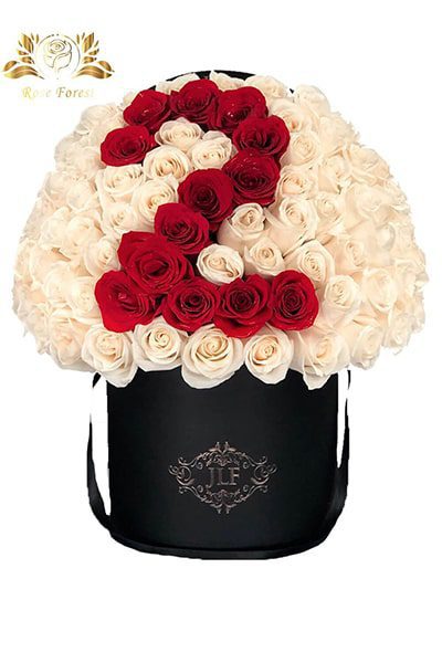 قیمت باکس گل رز سفید و قرمز عددی