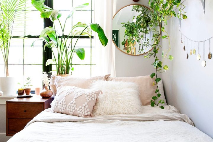 دکور اتاق خواب با گیاهان