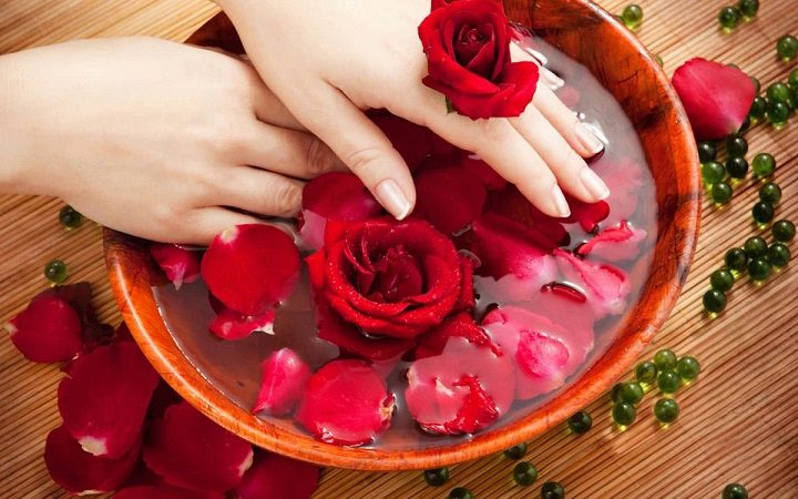 نگهداری گل رز در باغچه و گلدان