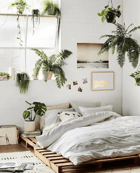 تزیین و طراحی دکور اتاق خواب با گیاهان طبیعی