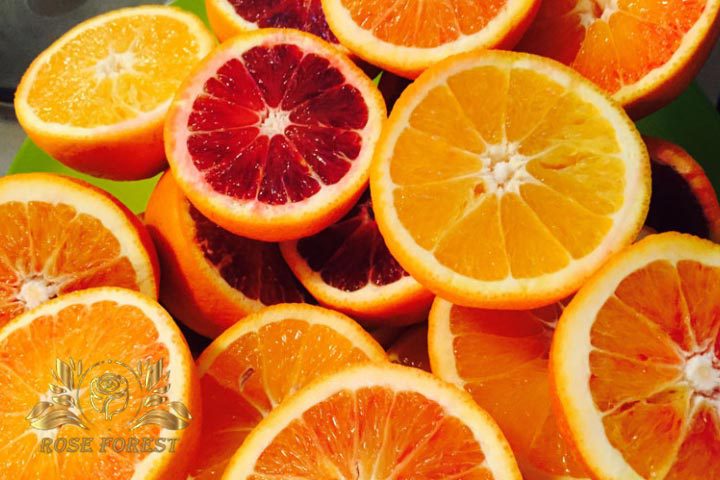 مراحل آموزش کاشت سبزه عید با هسته پرتقال 