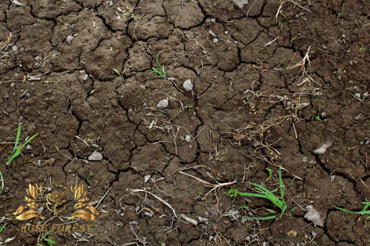 خشک‌شدن زودبه‌زود خاک