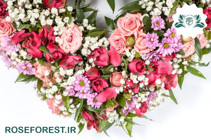 معرفی گل‌ها و گیاهان مناسب برای هدیه سالگرد ازدواج