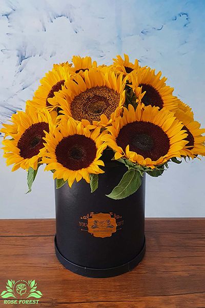 خرید باکس گل آفتاب گردان مهر